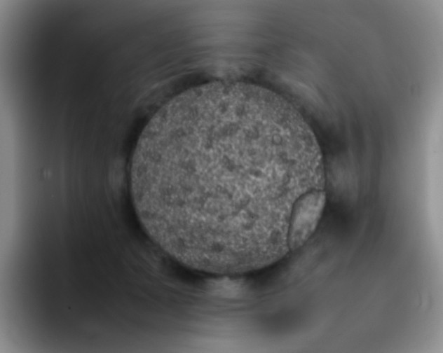 X0000092060511200709262030