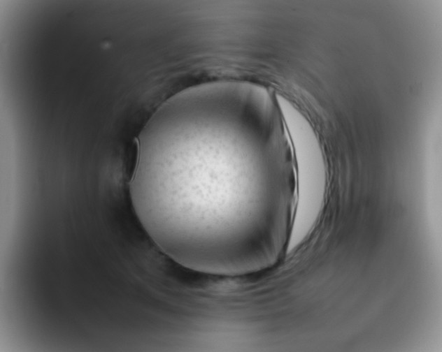 X0000092060513200709262030