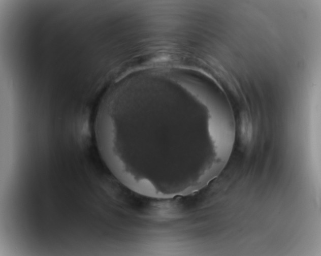 X0000092060516200709262030