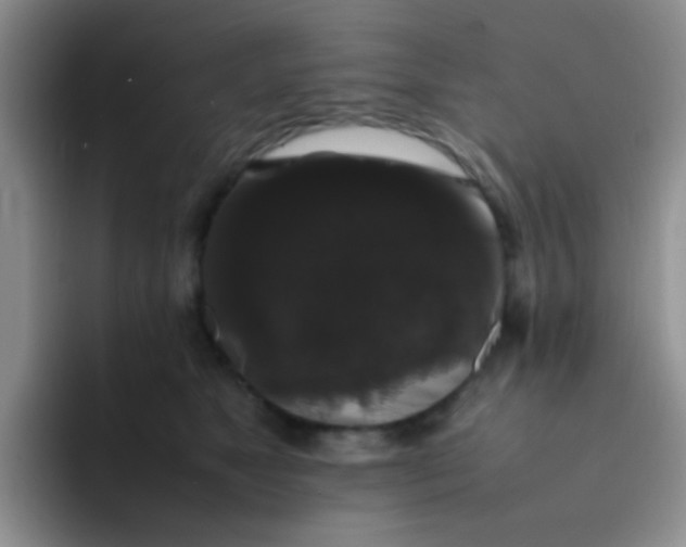 X0000092060517200709262030