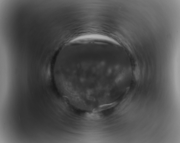 X0000092060520200709262030