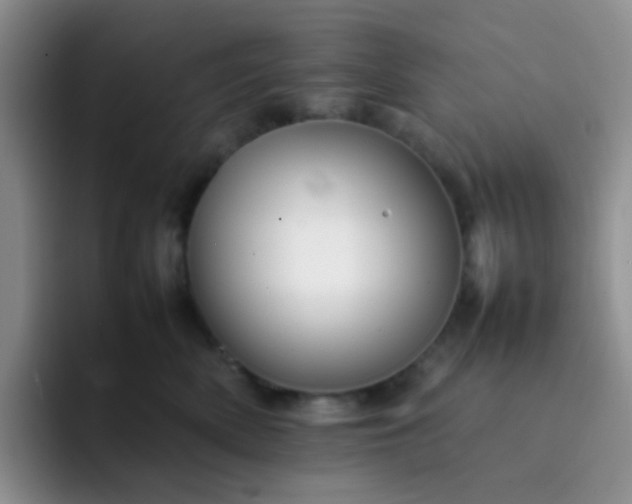 X0000092060522200709262030