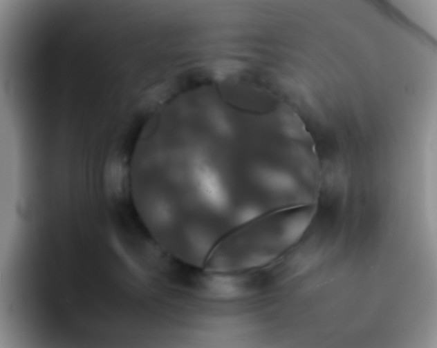 X0000092060527200709262030