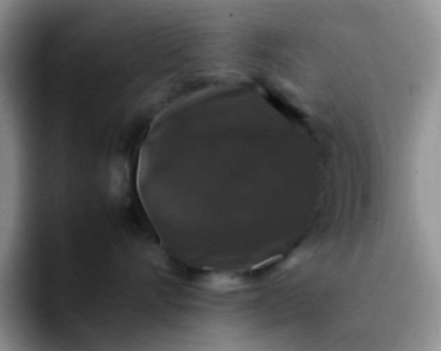 X0000092060528200709262030