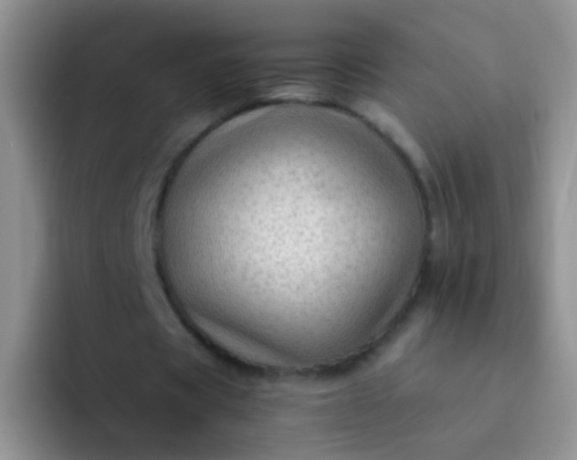 X0000092060529200709262029