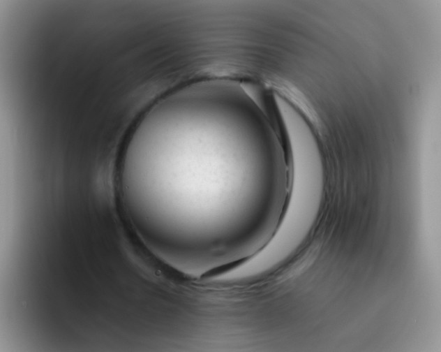 X0000092060530200709262029