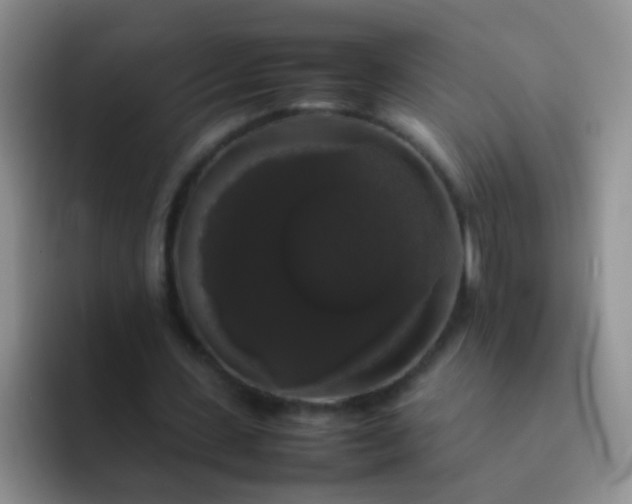 X0000092060531200709262029