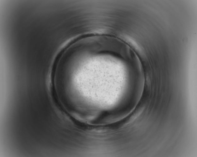 X0000092060532200709262029