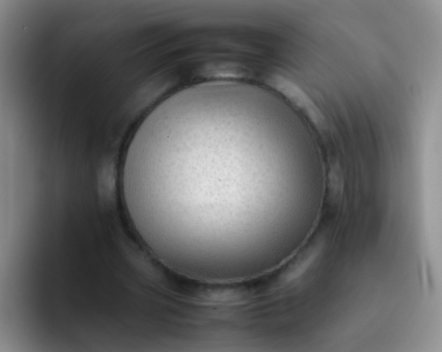 X0000092060533200709262029