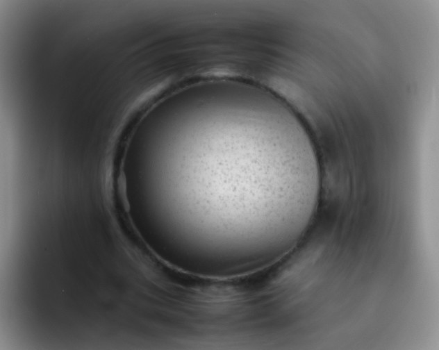 X0000092060535200709262029