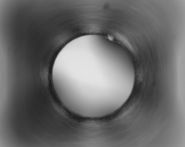 X0000092060538200709262029