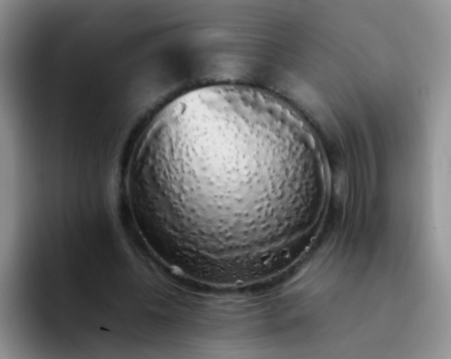 X0000092060540200709262029