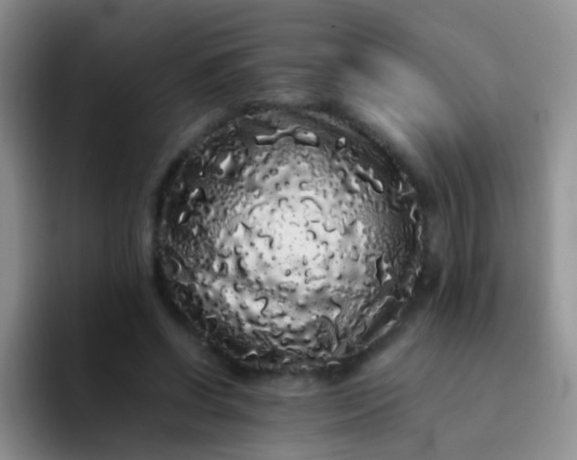 X0000092060542200709262029