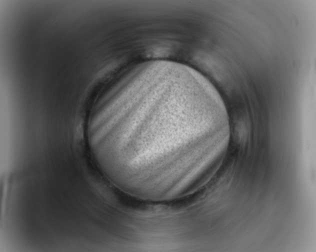 X0000092060543200709262029