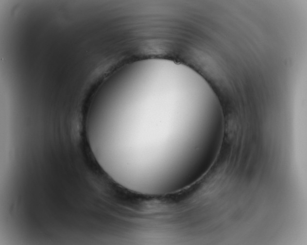 X0000092060544200709262029