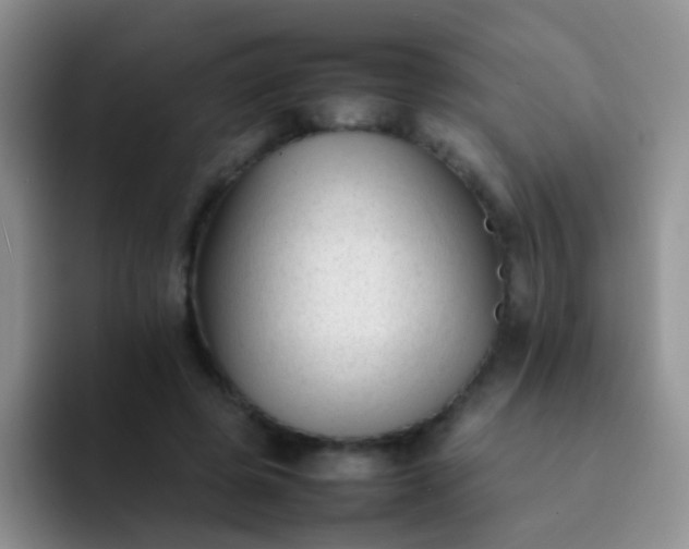 X0000092060545200709262029