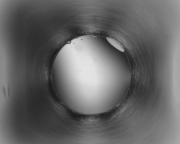 X0000092060546200709262029