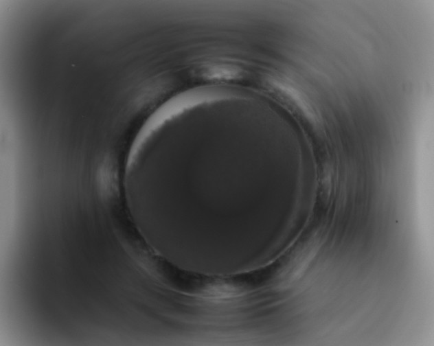 X0000092060547200709262029