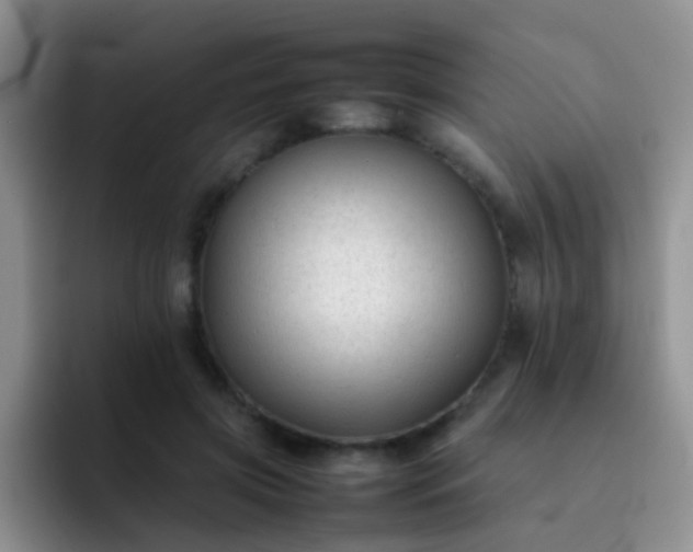 X0000092060549200709262029