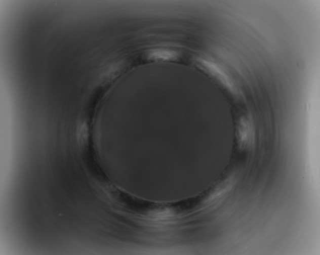 X0000092060551200709262030