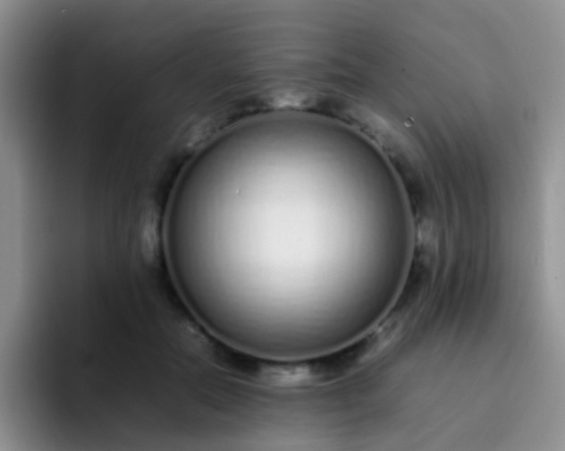 X0000092060554200709262030