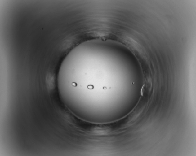 X0000092060556200709262030