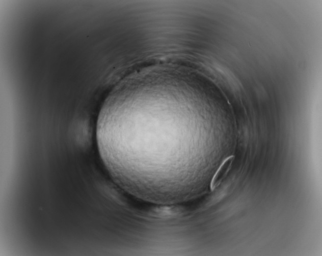 X0000092060558200709262030