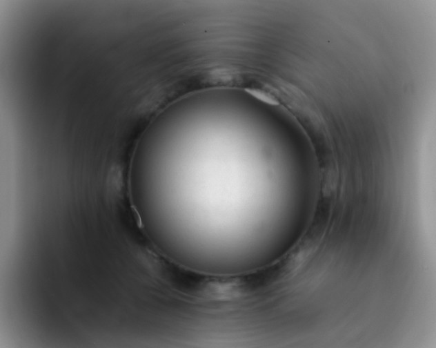 X0000092060560200709262030