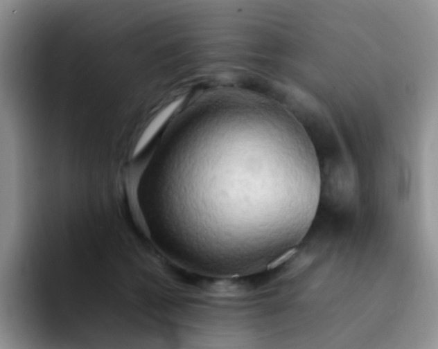 X0000092060562200709262030