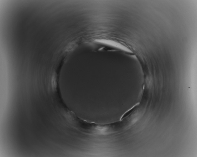 X0000092060570200709262030