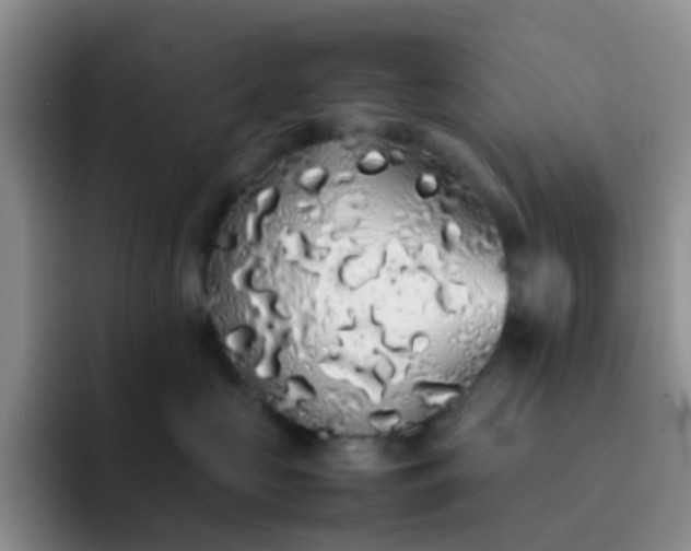 X0000092060573200709262030