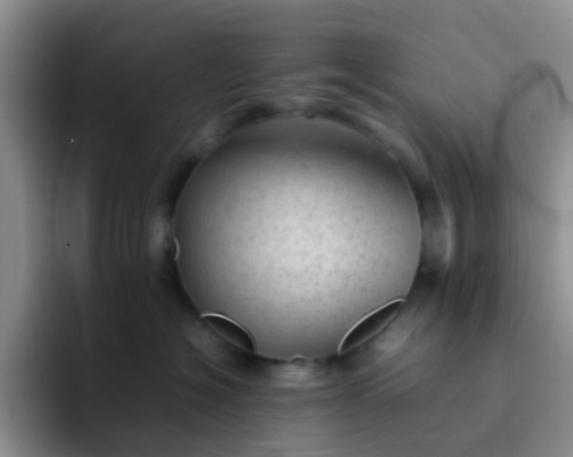 X0000092060574200709262030