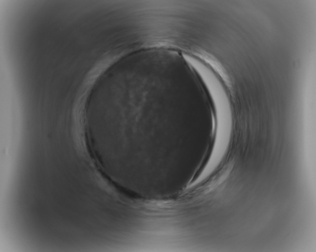 X0000092060577200709262029