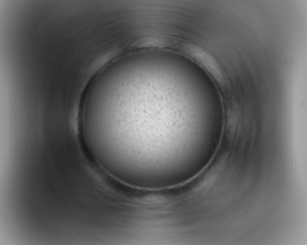 X0000092060578200709262029