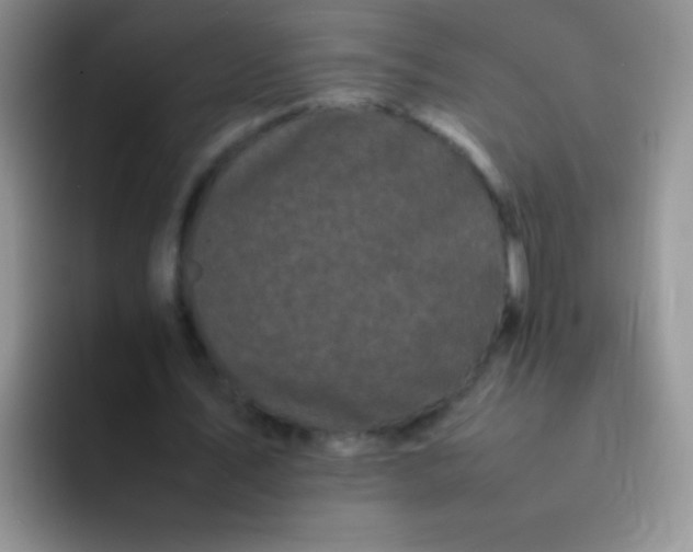 X0000092060579200709262029