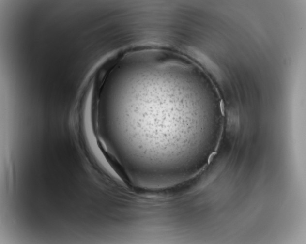 X0000092060580200709262029