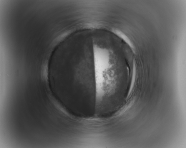 X0000092060581200709262029