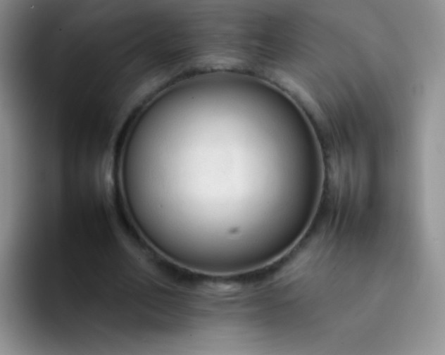 X0000092060582200709262029