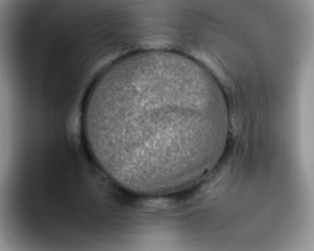 X0000092060583200709262029