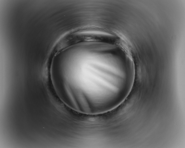 X0000092060584200709262029