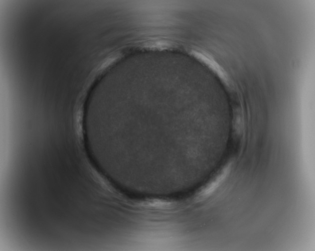 X0000092060585200709262029