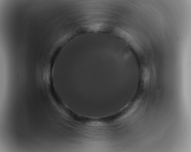 X0000092060590200709262029