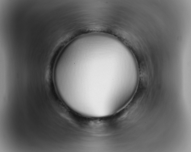 X0000092060591200709262029