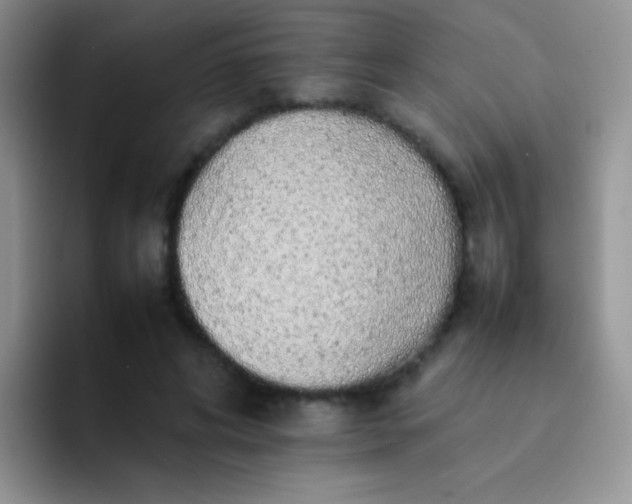 X0000092060592200709262029