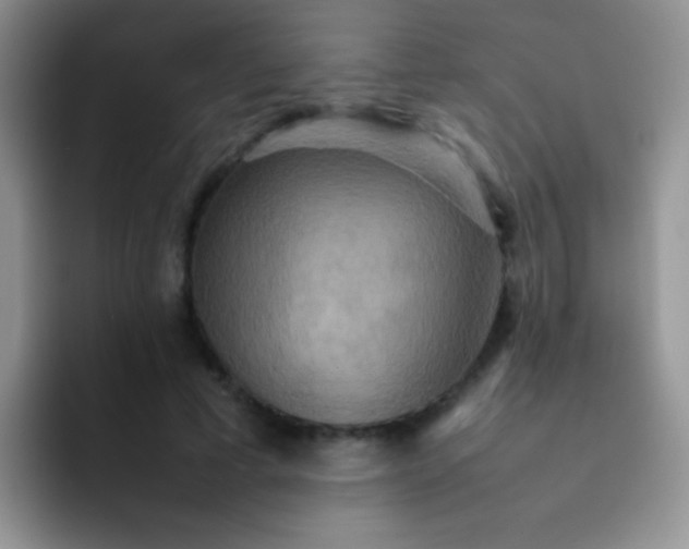 X0000092060593200709262029