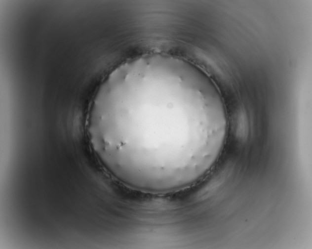 X0000092060594200709262029