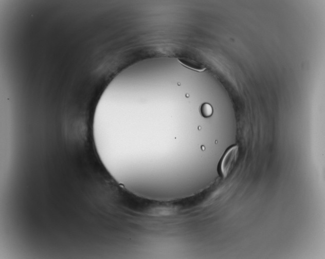 X0000092060595200709262029