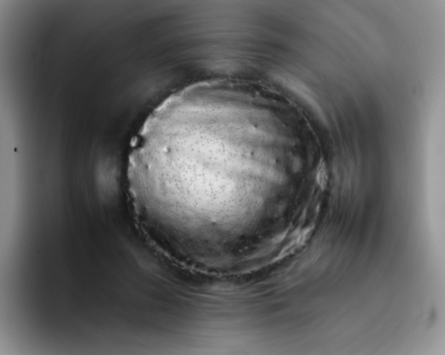 X0000092060596200709262029