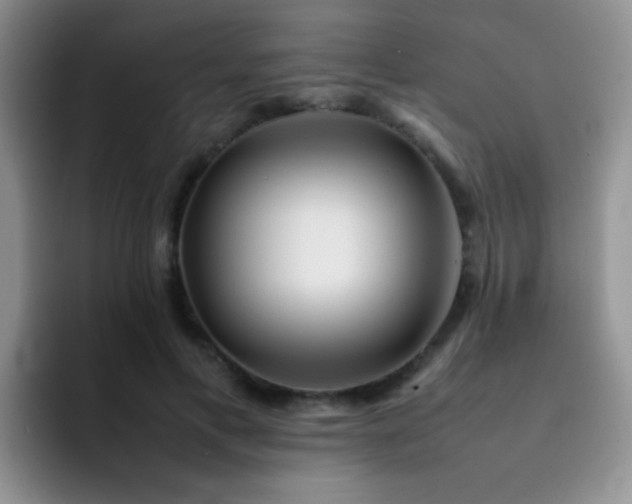 X0000092060597200709262029