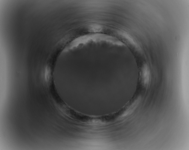 X0000092060598200709262029